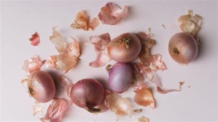 Are onion peels toxic?