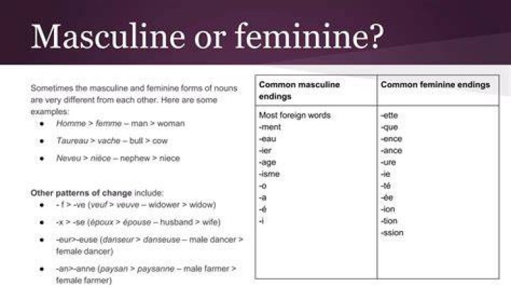Are socks feminine or masculine in French?