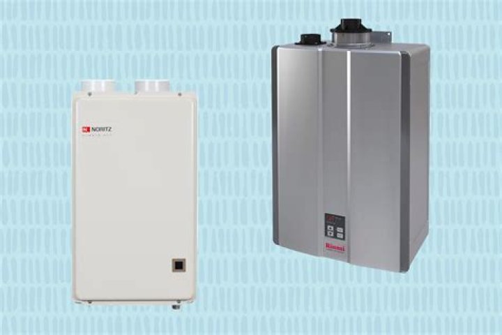Are tankless water heaters good for cabins?