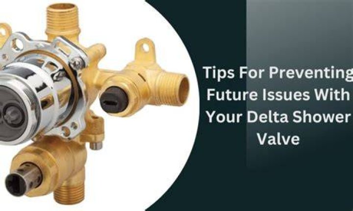 Are there any issues with Delta shower valves?