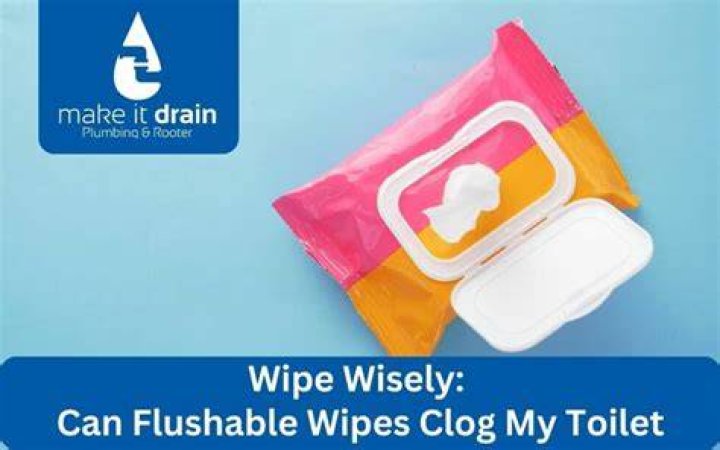 Can 1 wipe clog a toilet?