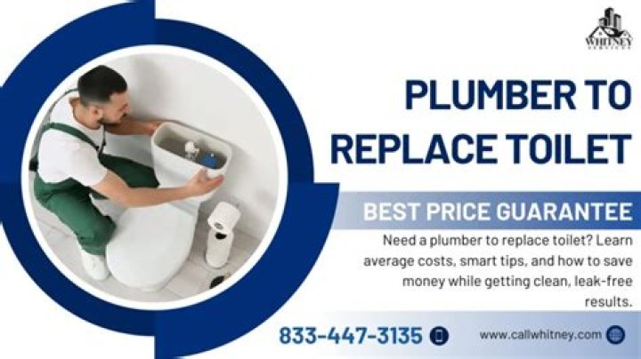Can a plumber replace a toilet?