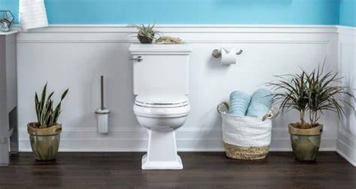 Can a toilet just go bad?