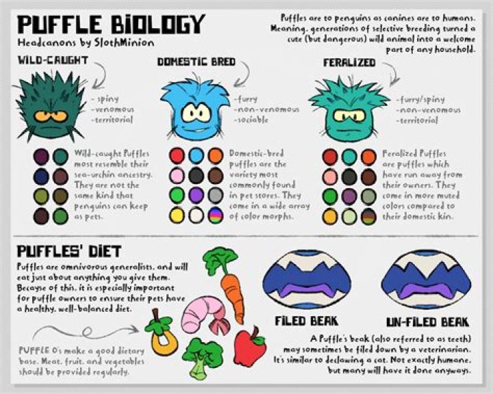Can Puffles feed themselves?