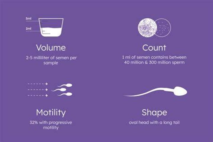 Can sperm go through clothes and get a woman pregnant?