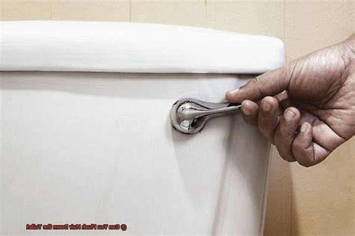 Can you flush a snake down the toilet?