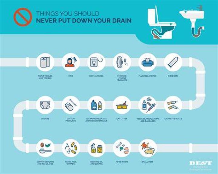 Can you flush solids down the toilet?