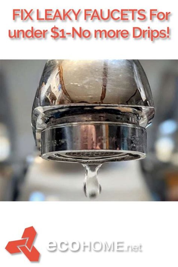 Can you stop a Washerless faucet from dripping?