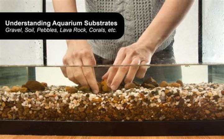 Can you throw away aquarium gravel?