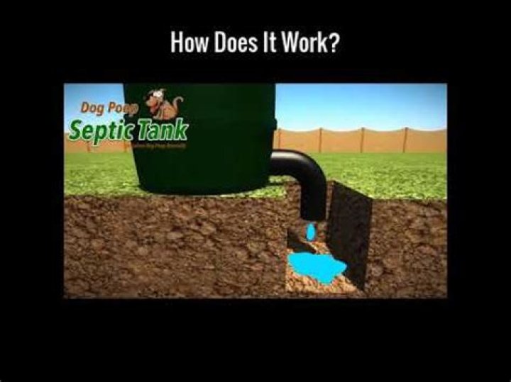 Do dog poop septic tanks work?