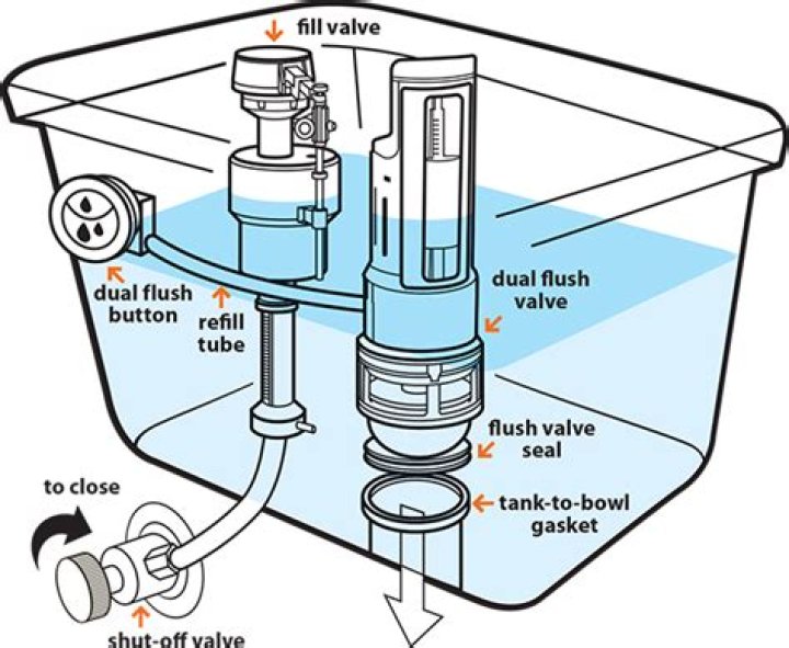Do dual-flush toilets work well?