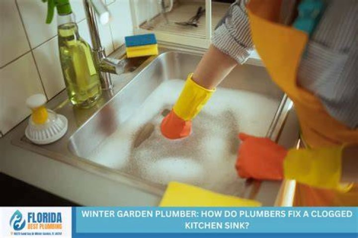 Do plumbers fix clogged sinks?