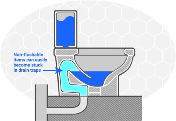Do Toilets clog for no reason?
