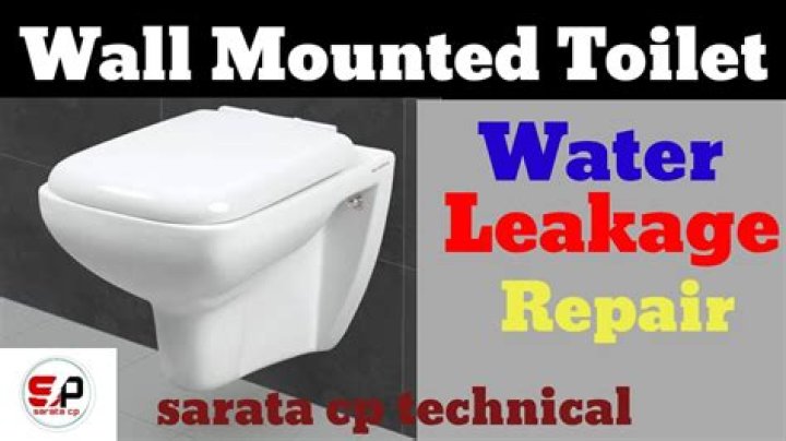 Do wall mounted toilets leak?