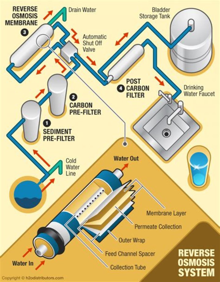 Do you have to use RO water for saltwater tanks?
