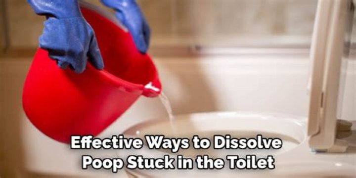 Does dish soap dissolve poop?