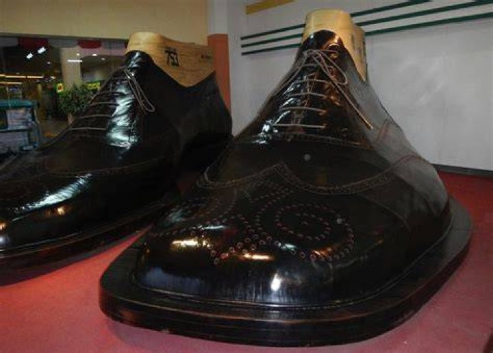How big are the biggest shoes in the world?