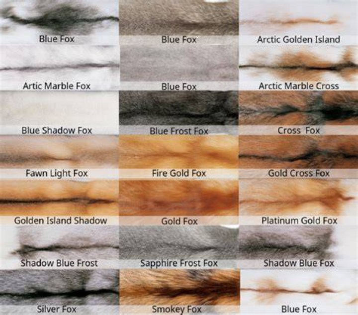 How can you tell what kind of fur it is?