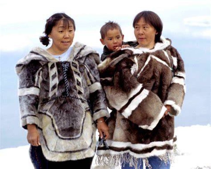 How did the Inuit use their environment for clothing?