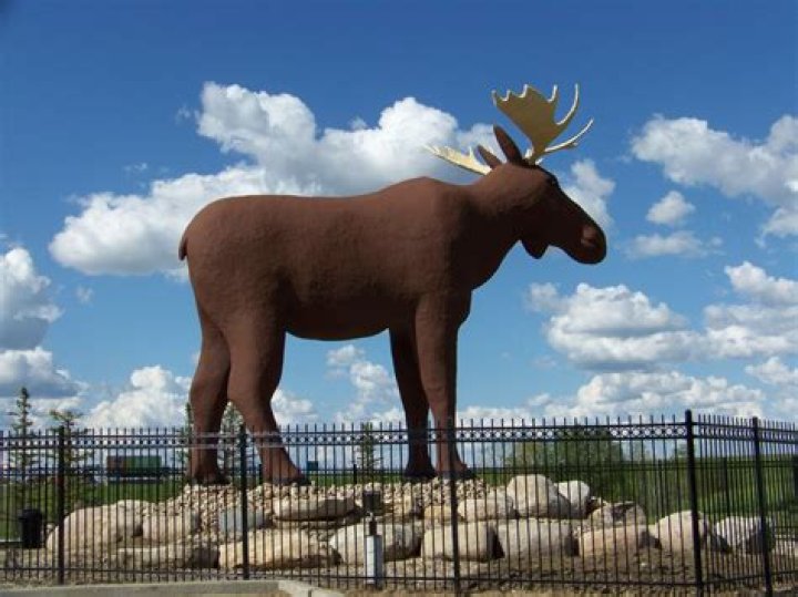 How did the moose become a symbol of Canada?