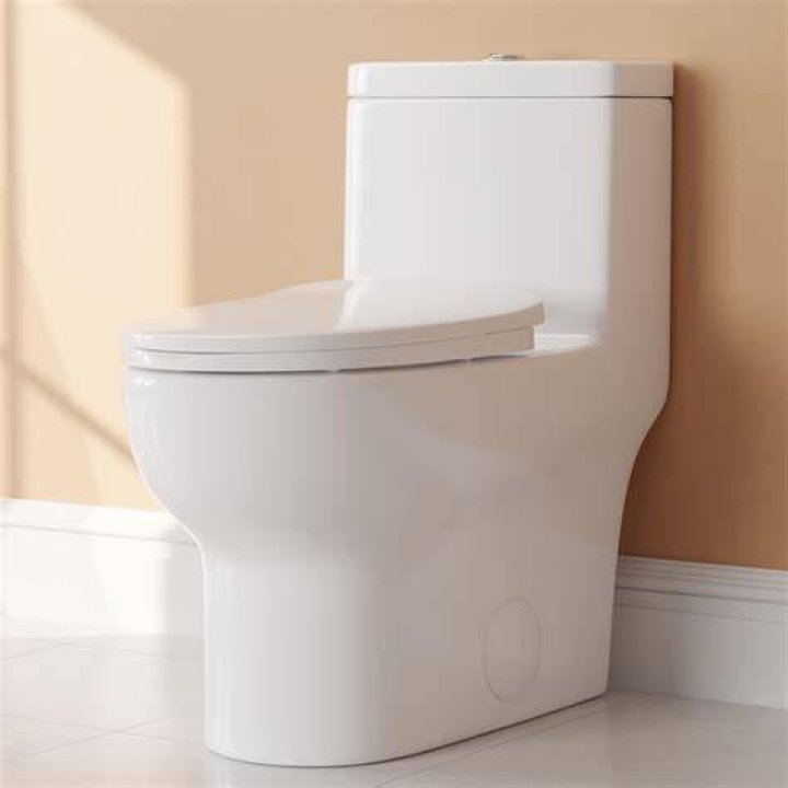 How do 1 piece toilets work?