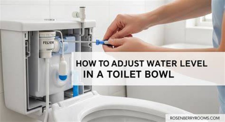How do I adjust the water level in my Toto toilet?