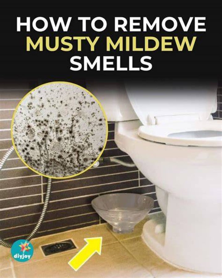 How do I get rid of mildew smell in my sink?