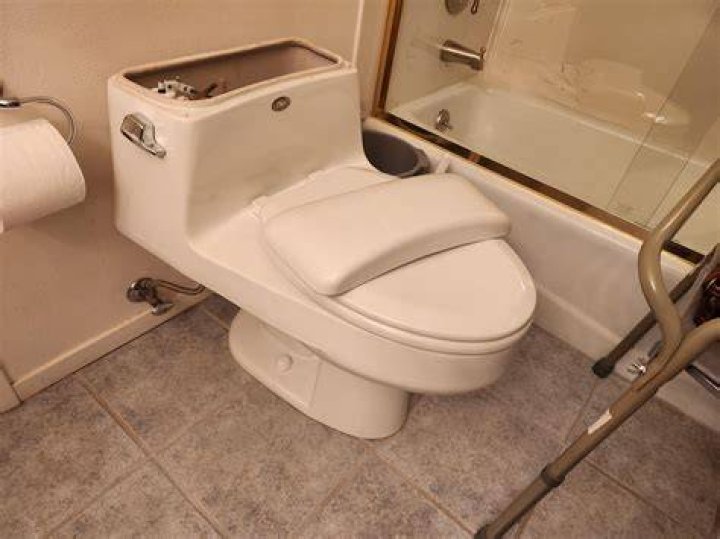 How do I know what model my toilet is?