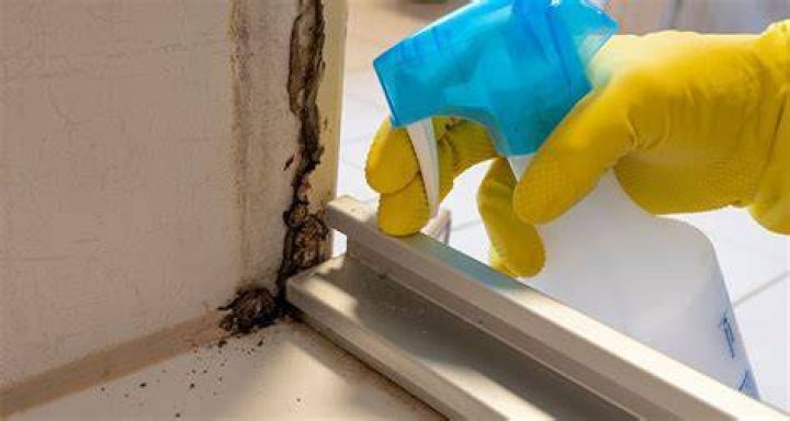 How do I prevent mold in my steam shower?