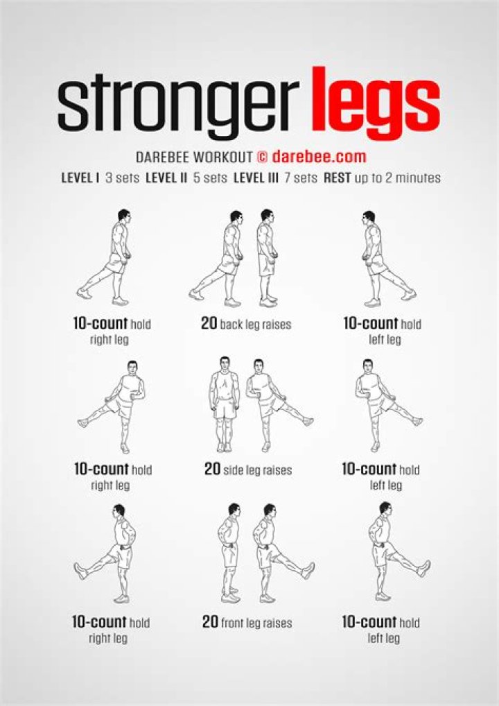 How do legs work?