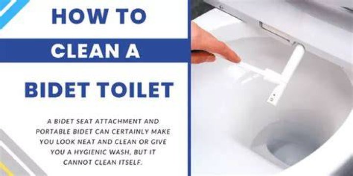 How do you clean bidet seats?