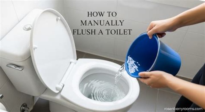 How do you manually flush a tankless toilet?