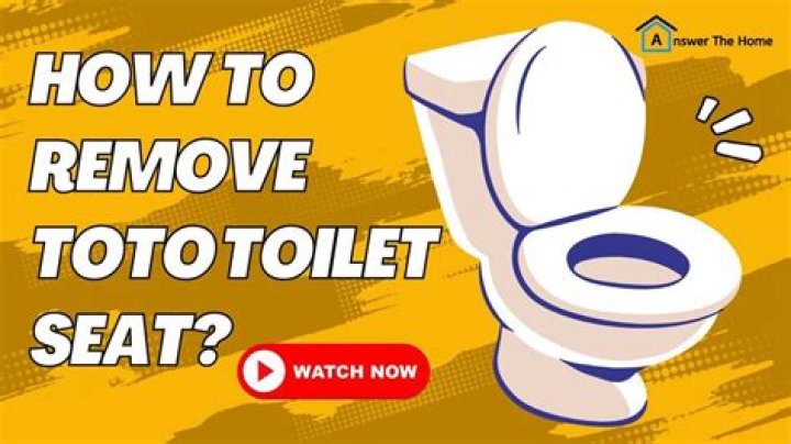 How do you remove a one piece Toto toilet?