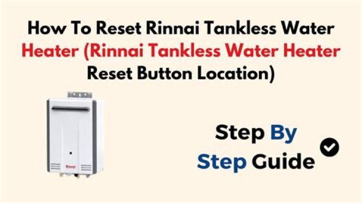 How do you reset Rinnai after flushing?