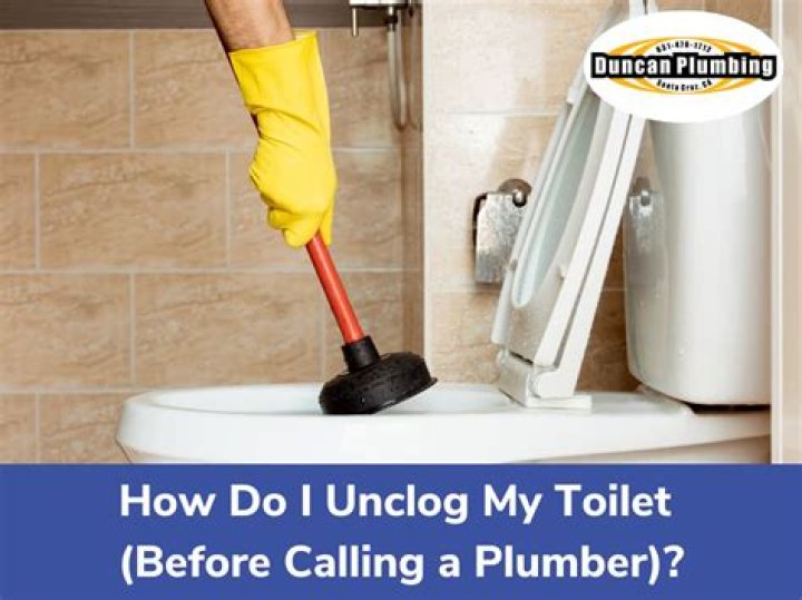 How do you unclog a toilet before calling a plumber?