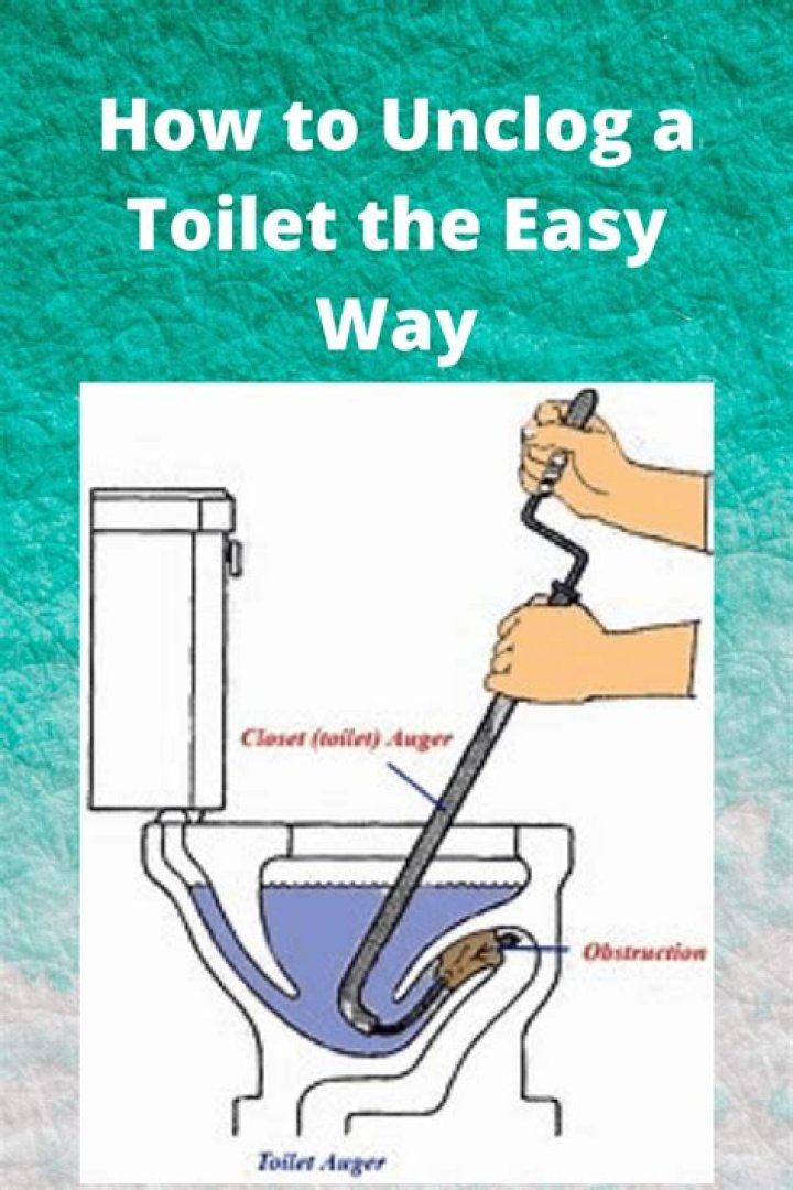 How do you unclog a toilet in a septic system?