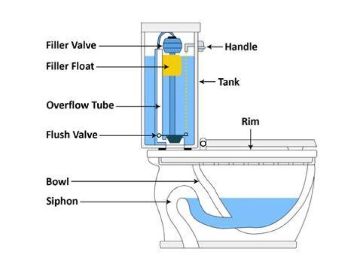 How does the flushing mechanism of a toilet work?