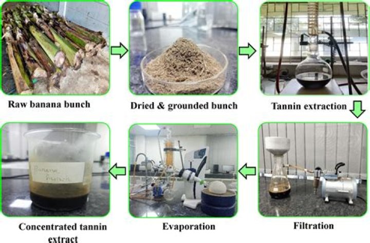 How is hot water used to extract tannins?