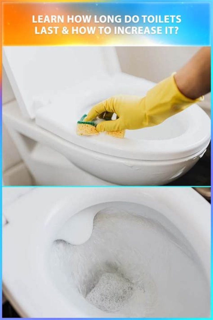 How long do the insides of a toilet last?