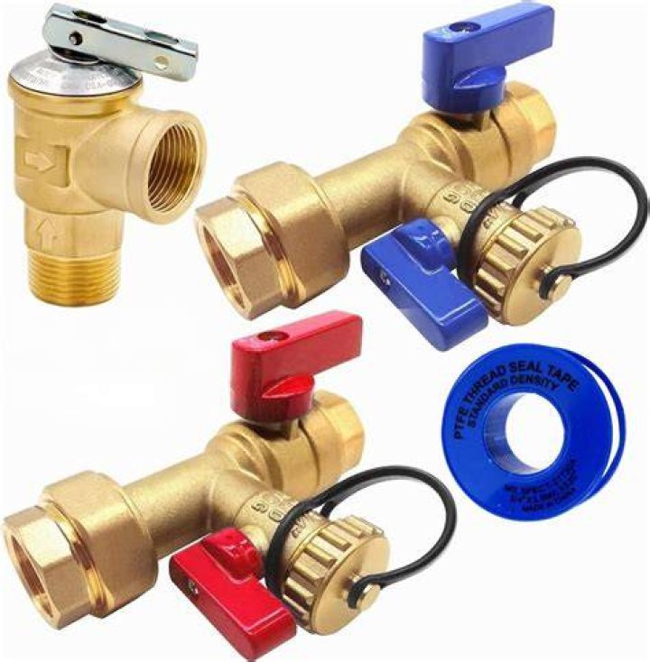How much does a Rheem water heater valve cost?