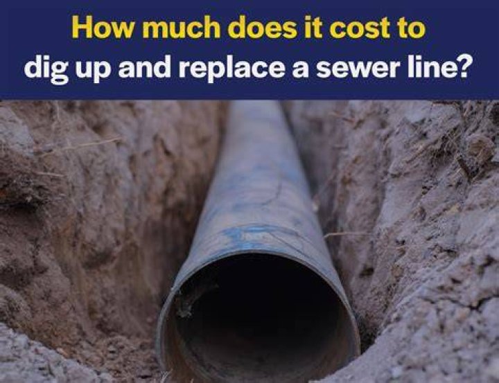 How much does it cost to replace a main line?