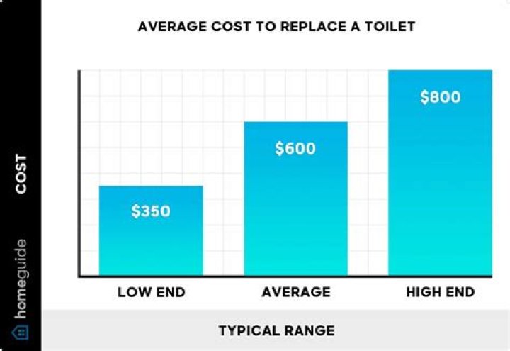 How much does it cost to replace two toilets?