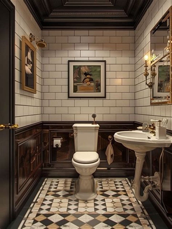 How old is the modern toilet?