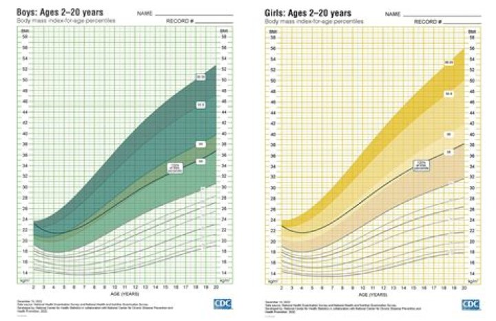 Is 110 pounds overweight for an 11 year old?