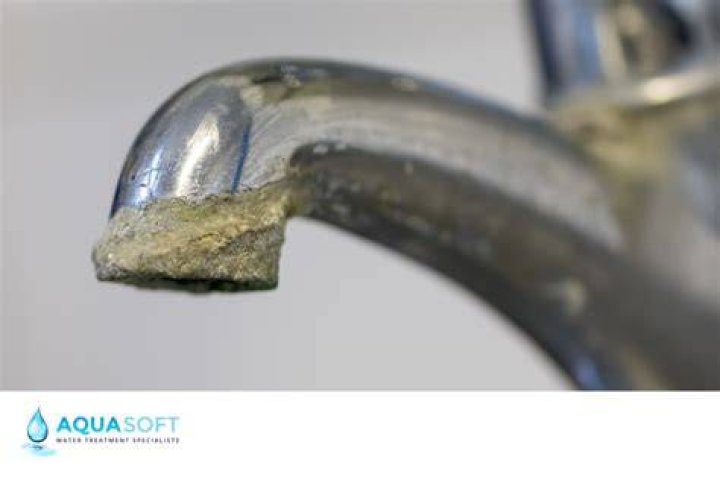Is hard water build up bad for you?