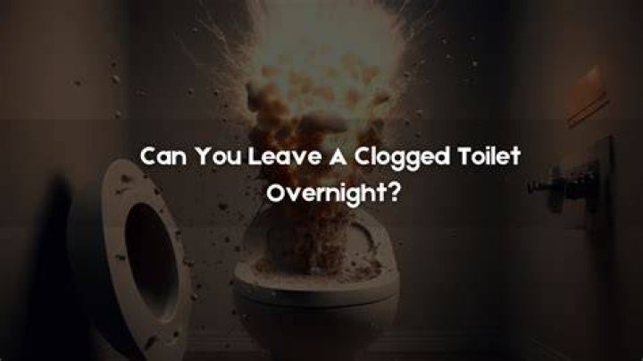 Is it fine to leave a clogged toilet overnight?
