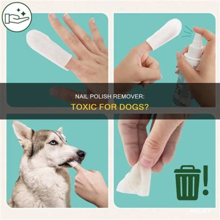 Is nail polish remover harmful to dogs?