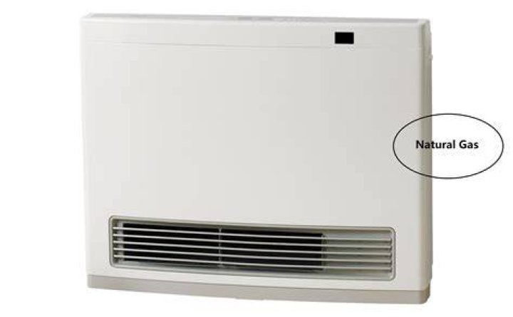 Is the Rinnai Avenger 25 a good gas heater?