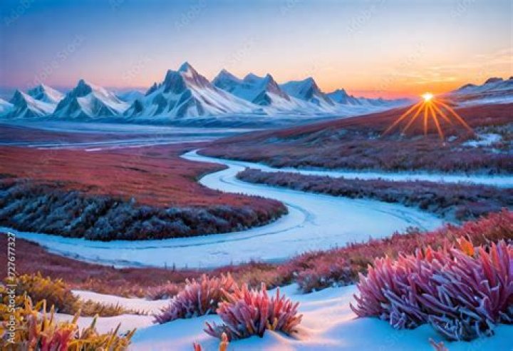 Is the tundra warm or cold?