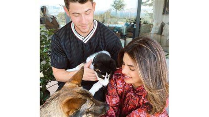Was Nick Jonas adopted?
